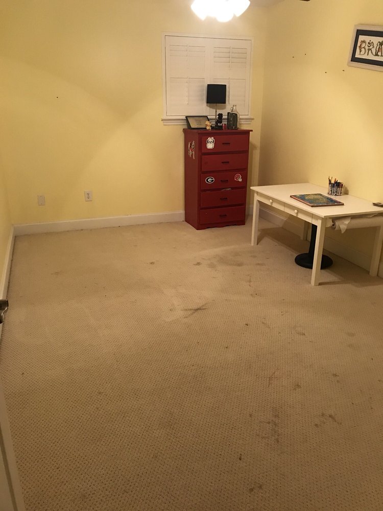 Photo of Promaster Carpet & Upholstery Cleaning
