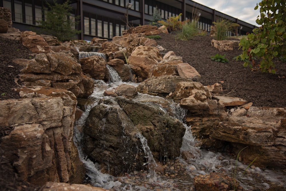 Photo of South County Landscaping