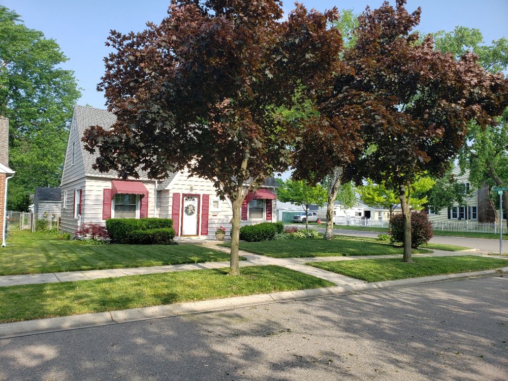 Photo of Patriot Lawn Services