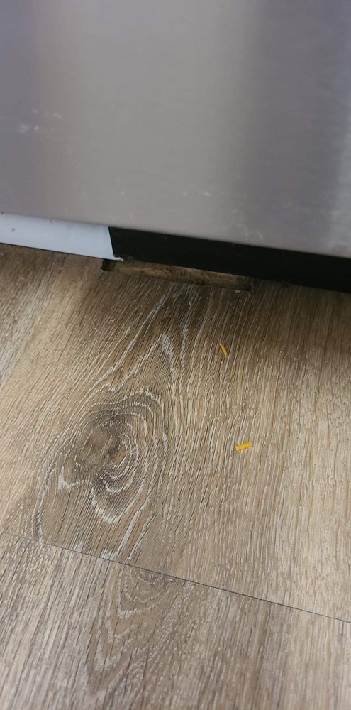 Photo of MDL Flooring