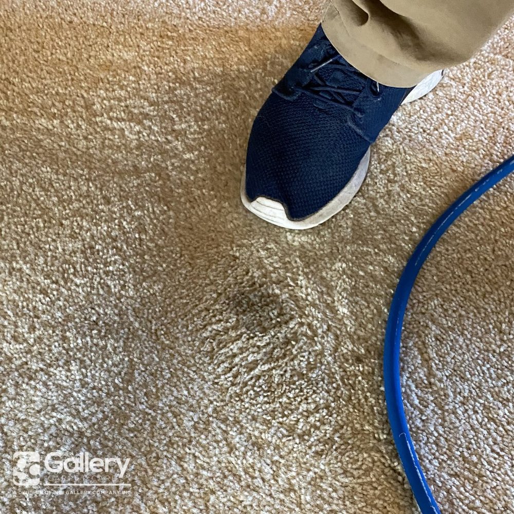 Photo of Gallery Carpet Care