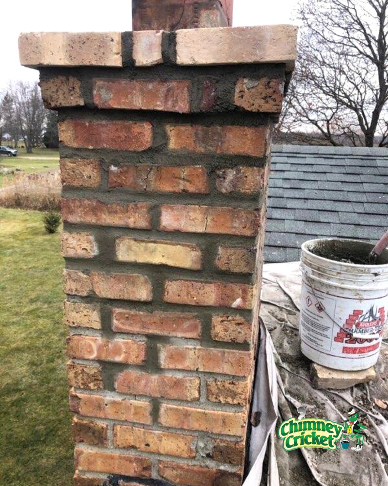 Photo of Chimney Cricket