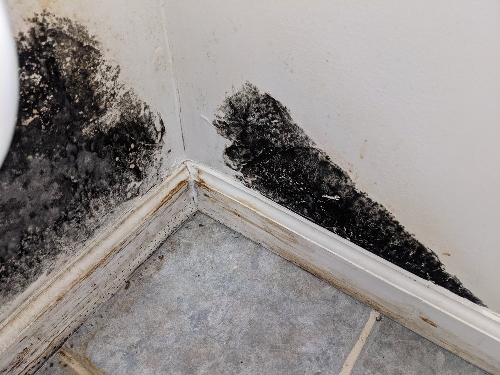 Photo of All Dry Restoration
