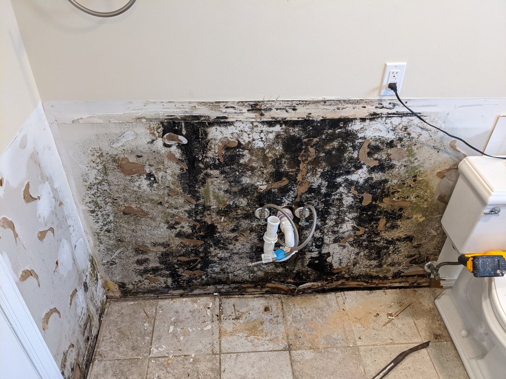 Photo of All Dry Restoration