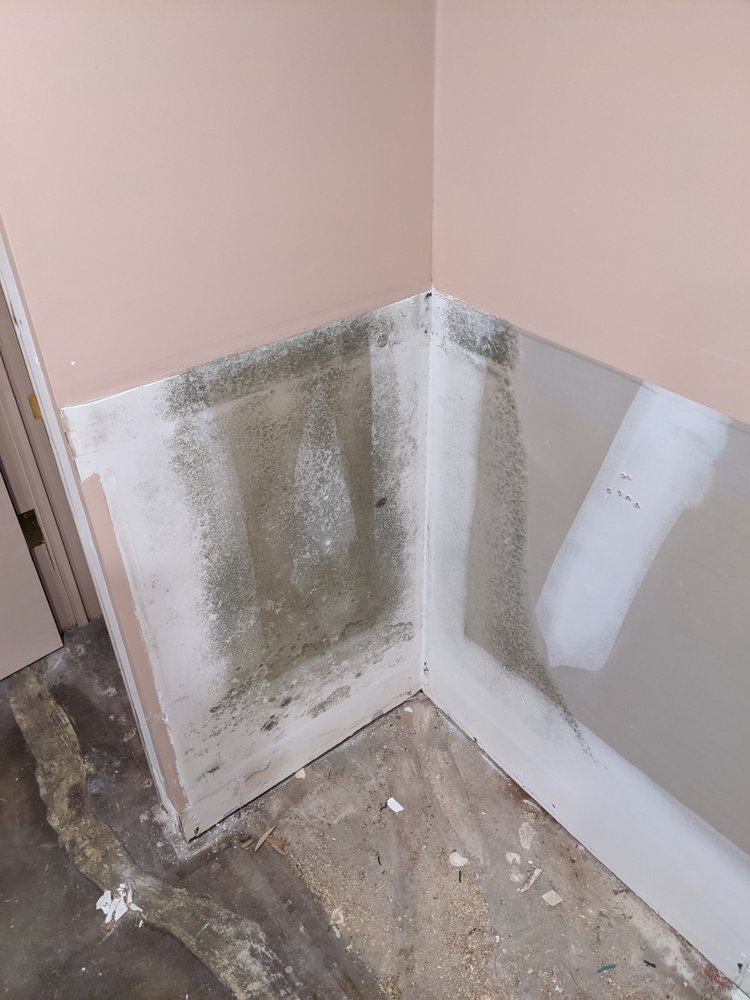 Photo of All Dry Restoration