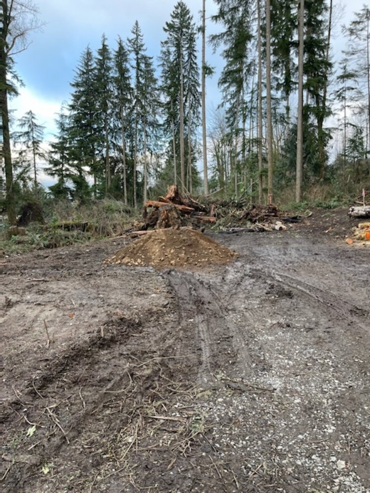 Photo of Demo Dudes Excavating & Dirt Works