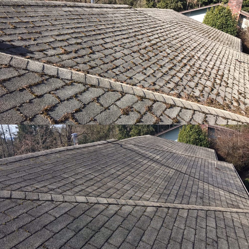 Photo of Mountain View Window Cleaning
