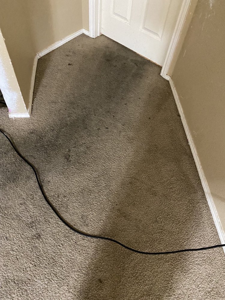 Photo of Miracle Carpet Cleaning