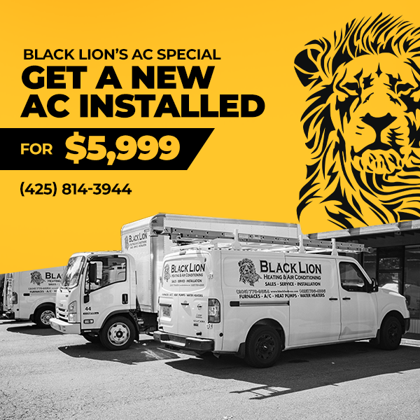 Photo of Black Lion Heating & Air Conditioning