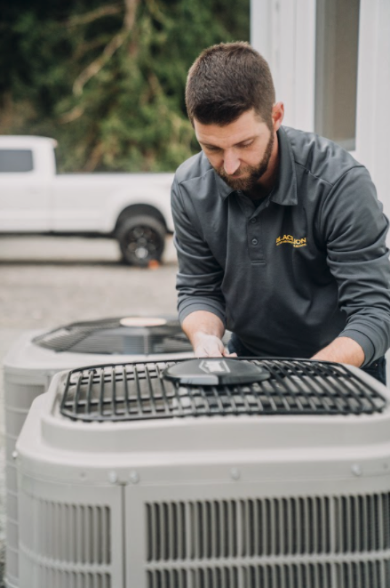 Photo of Black Lion Heating & Air Conditioning