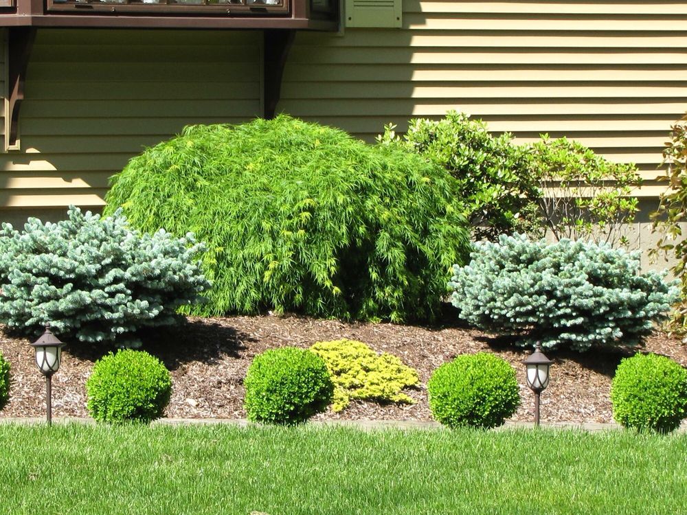 Photo of Russ Landscape Services