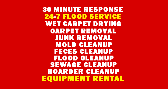 Photo of New York Flood Clean Up Company