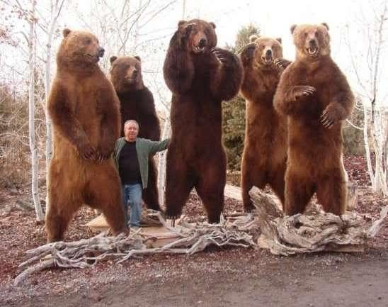 Photo of Basco's Bear Moving