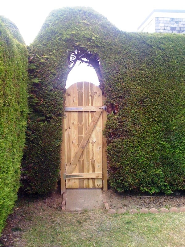 Photo of TimberFence.com