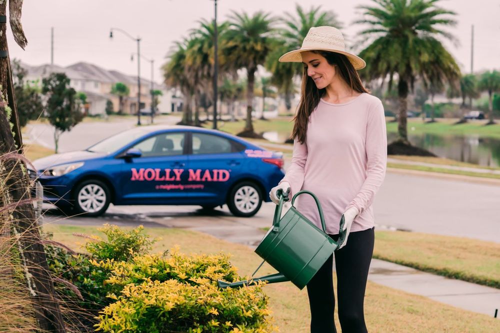 Photo of Molly Maid of West Clark