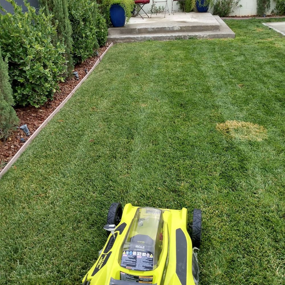 Photo of All purpose lawn