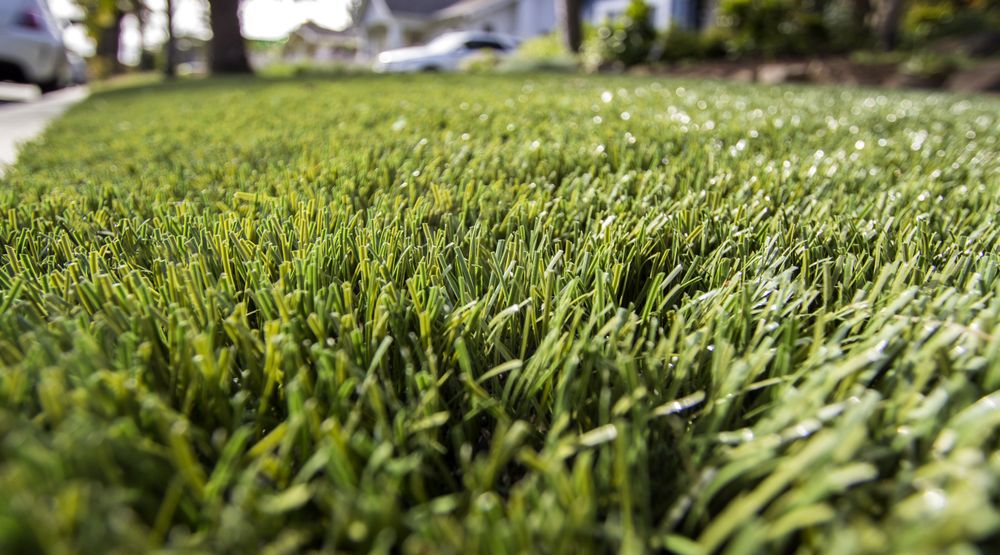 Photo of Artificial Turf Express