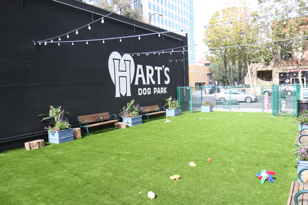 Photo of Artificial Turf Express