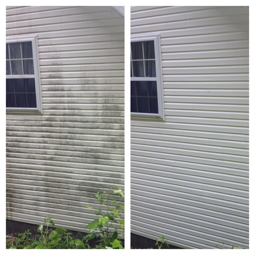 Photo of Fish Window Cleaning