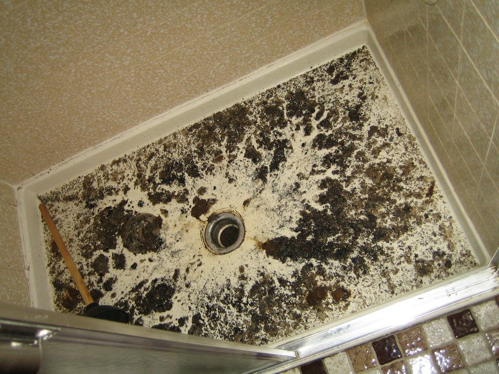 Photo of Flood Specialist