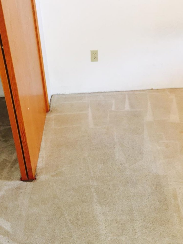 Photo of Eco Friendly Carpet Cleaning & Upholstery