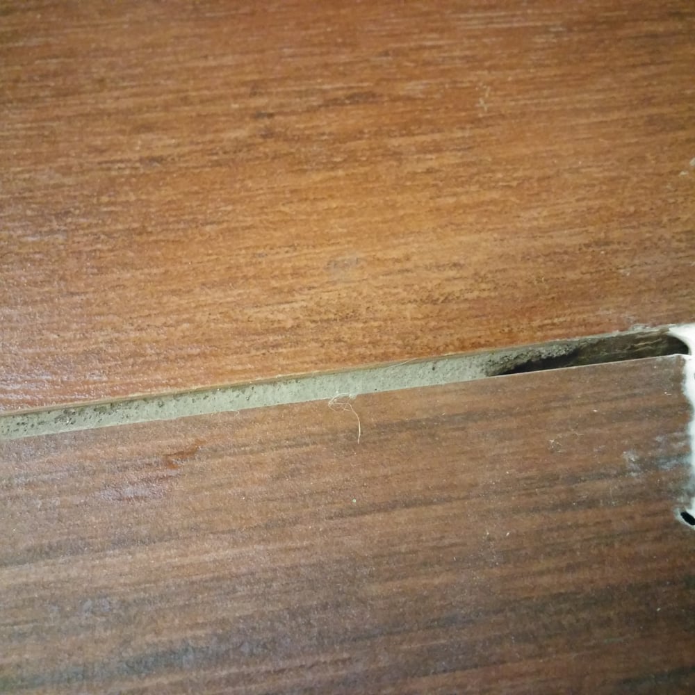 Photo of Arbor Floors
