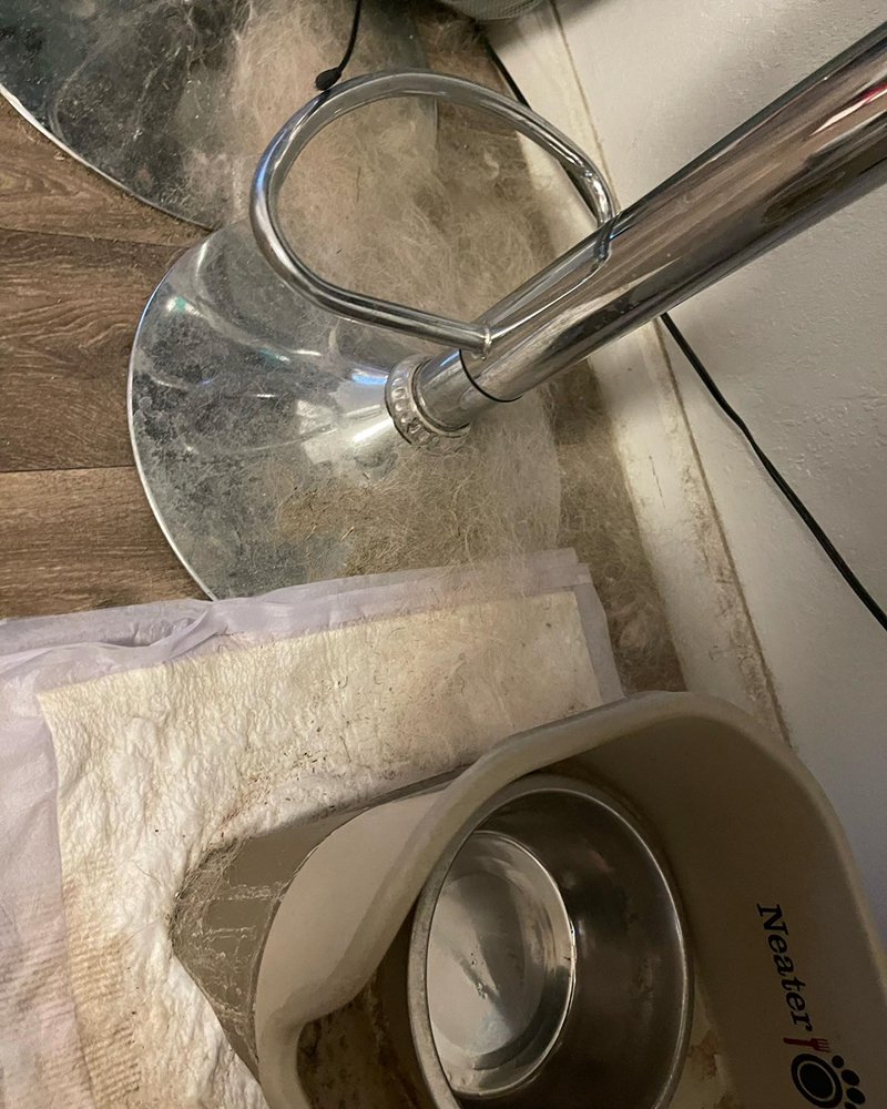 Photo of Pro Luxury Cleaning Services