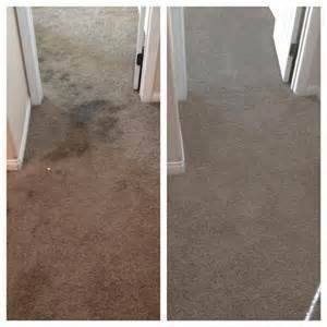 Photo of Revive Carpet Cleaning