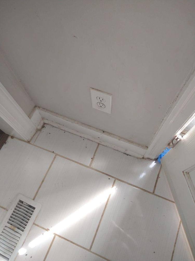 Photo of Cristiane Cleaning Services
