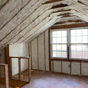 Woodstock Anthem Insulation & Home