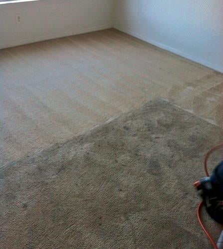 Photo of The Genie Carpet Cleaning