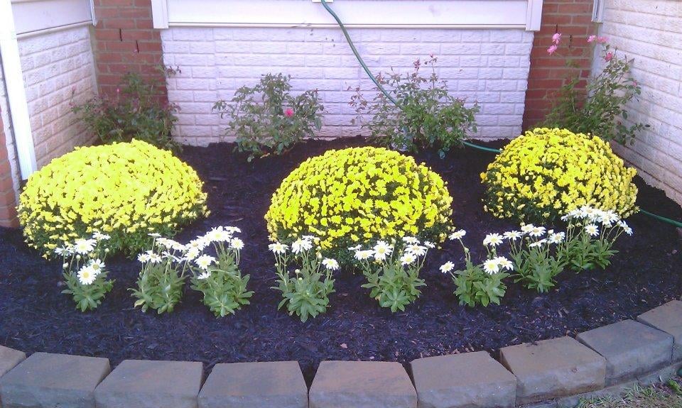 Photo of Visionary Lawn Services