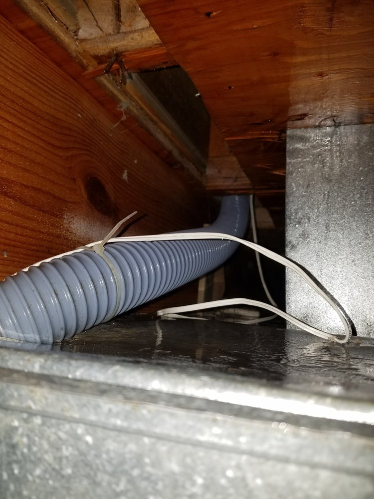 Photo of Sols Cleaning Services