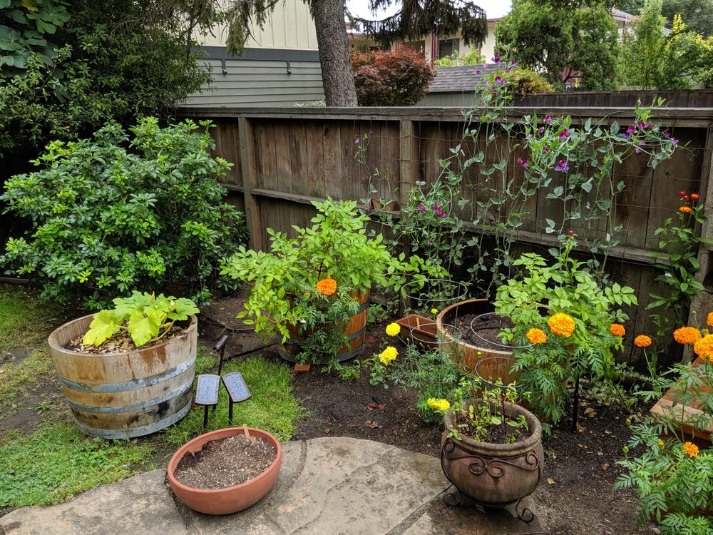 Photo of City Garden Studio