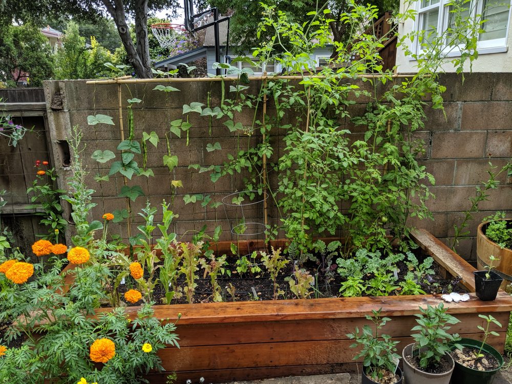 Photo of City Garden Studio