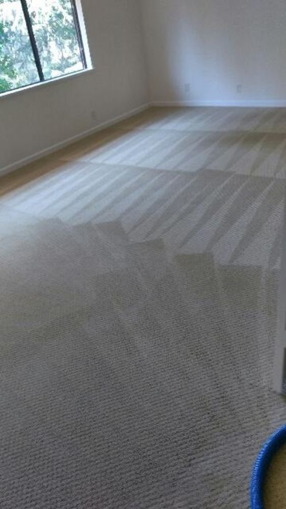 Photo of Long Life Carpet Cleaning