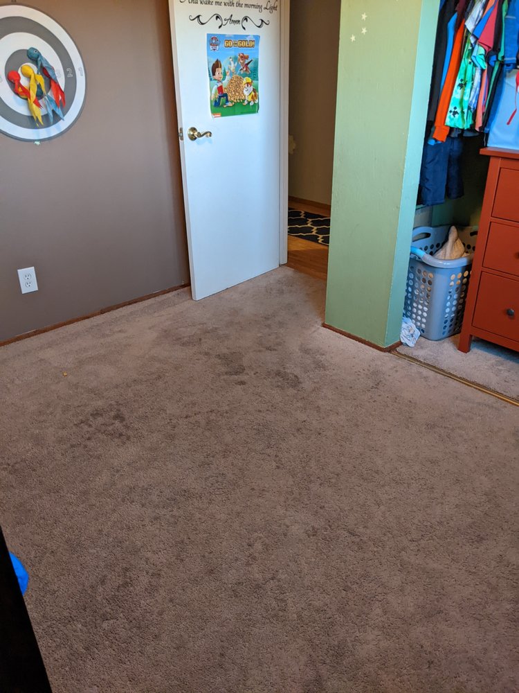 Photo of Scooters Carpet Cleaning