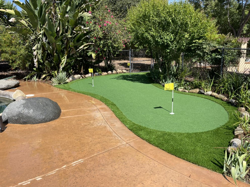 Photo of Sensational Greens