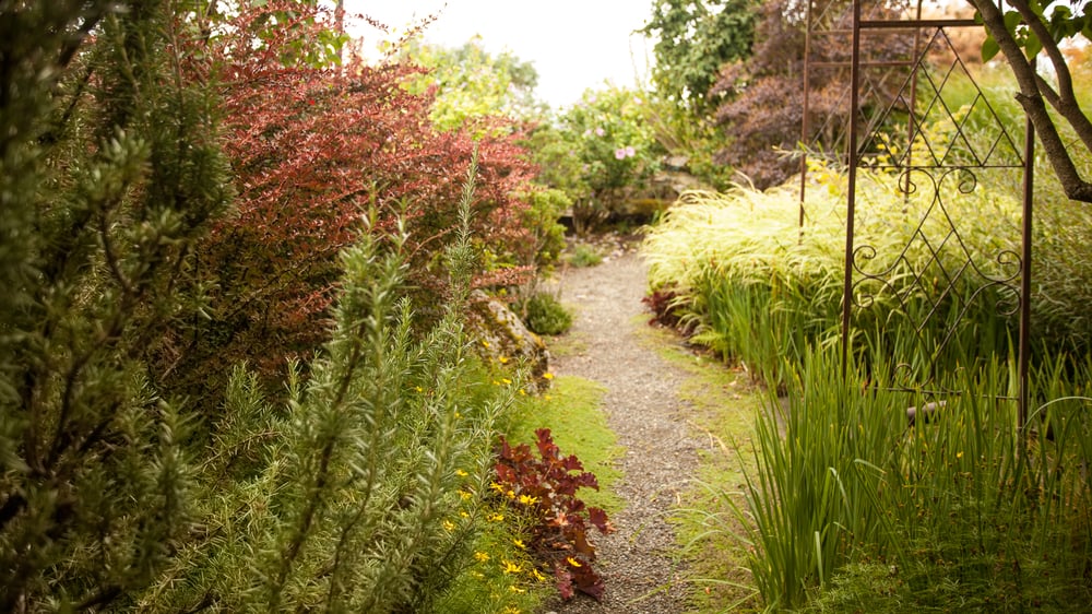 Photo of Essential Gardeners
