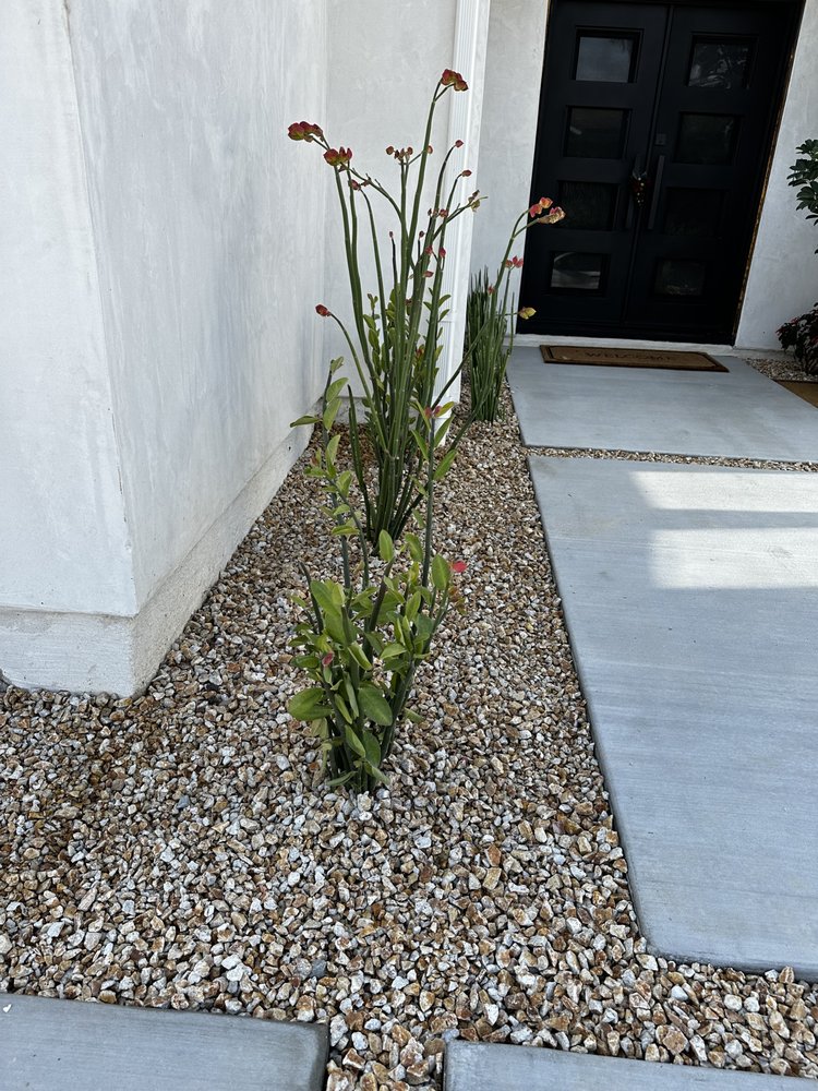 Photo of Tavera's Custom Landscaping