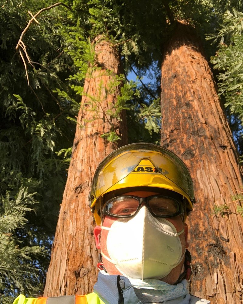 Photo of Tree and Horticultural Management Services