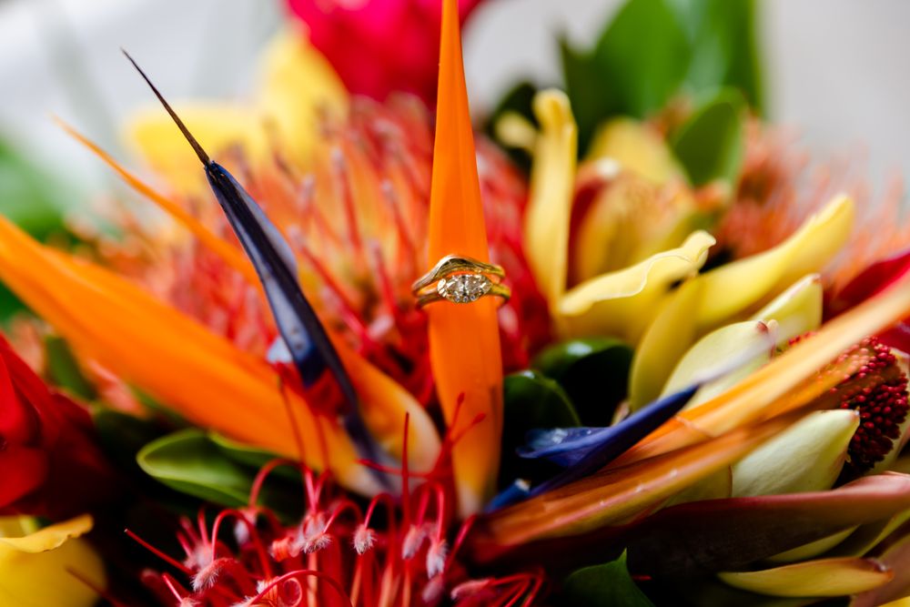Photo of Tessfresh and Tessilk Flowers