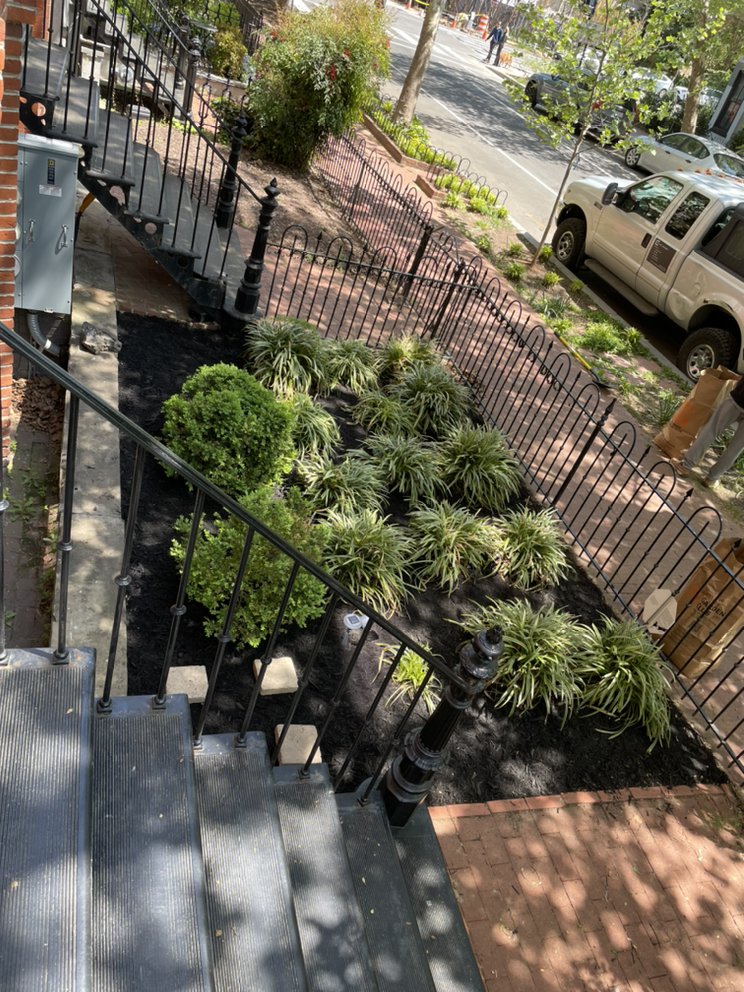 Photo of Skylar Landscape