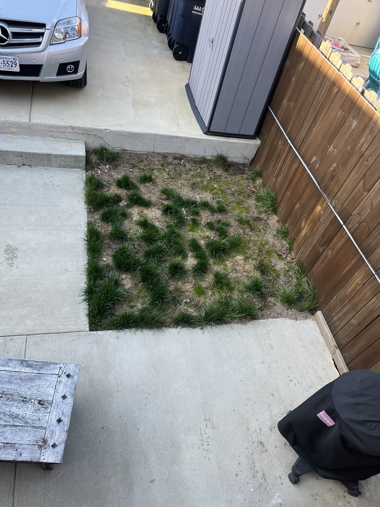 Photo of Skylar Landscape