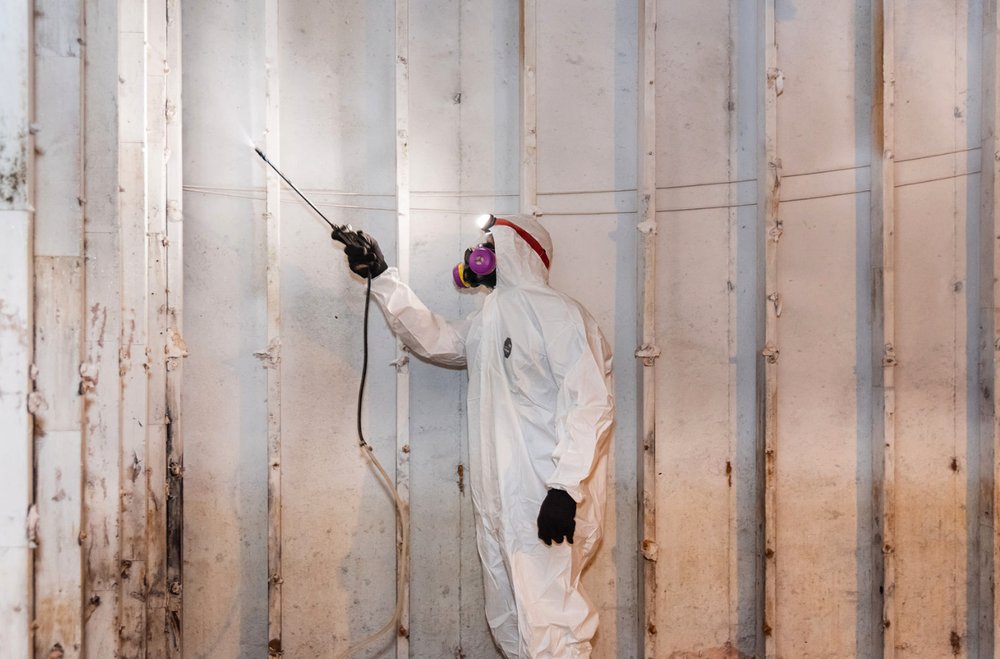 Photo of The Mold Removers