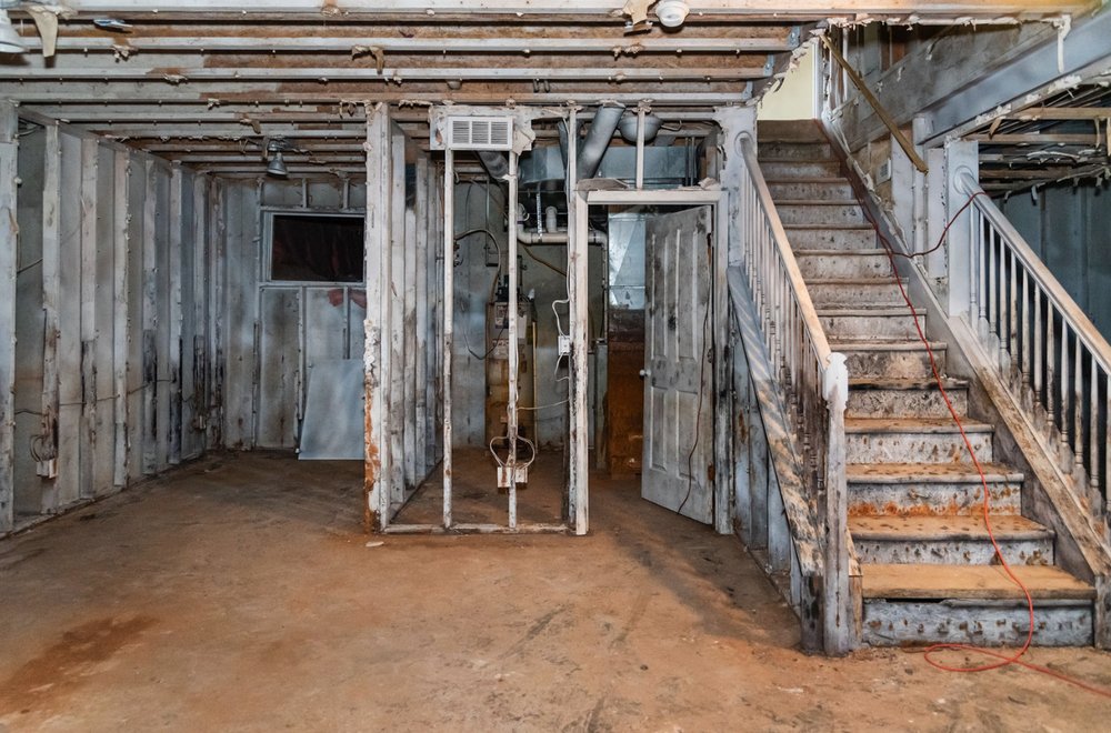 Photo of The Mold Removers