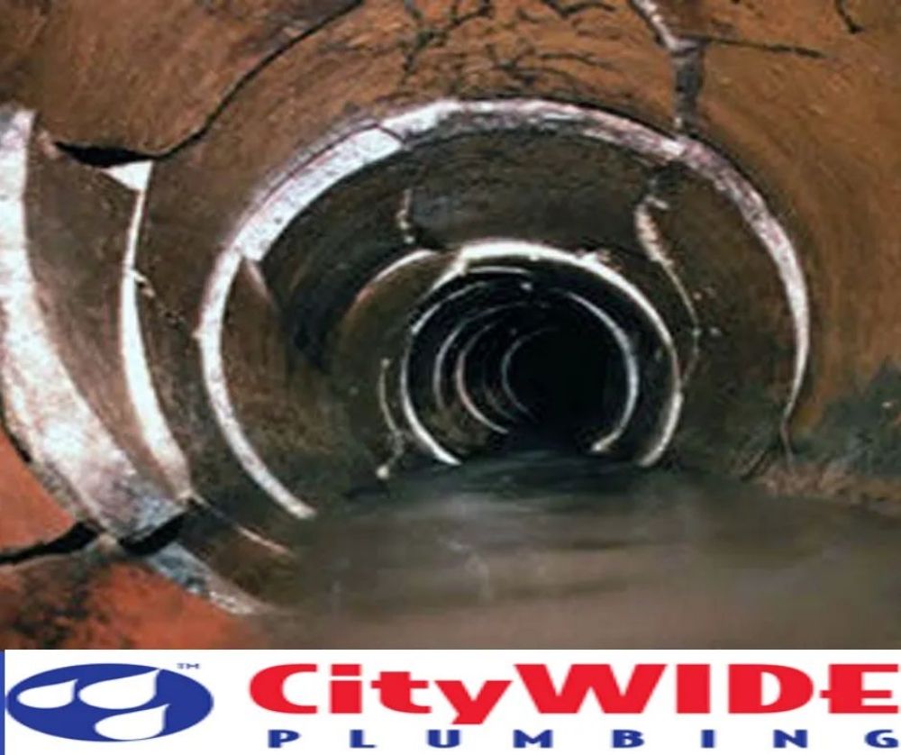 Photo of Citywide Plumbing & Drain Service