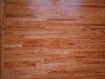 Photo of Martin Flooring