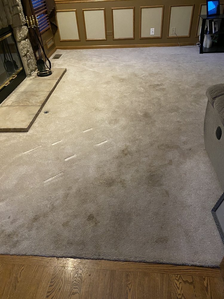 Photo of Supreme Carpet Clean
