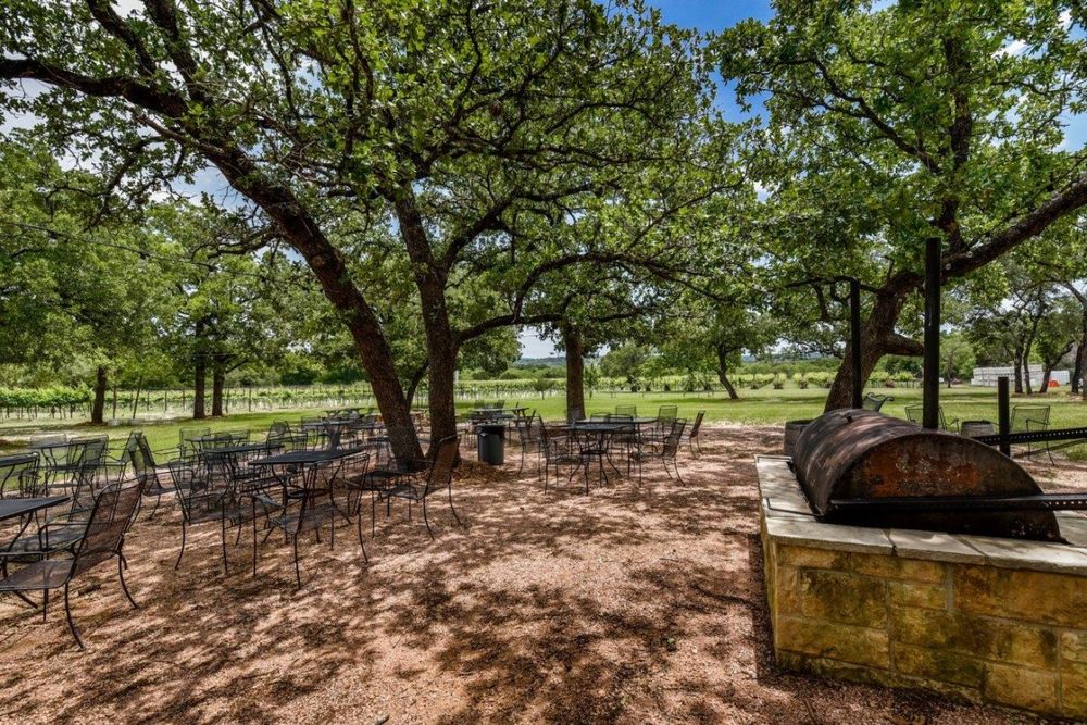 Photo of Hamilton Pool Vineyards